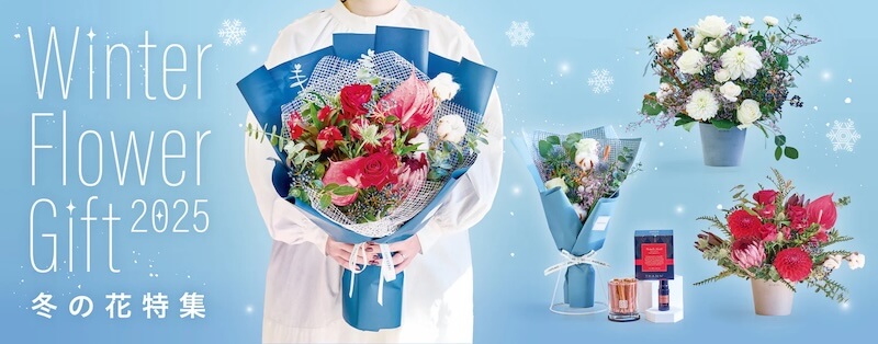 AND PLANTS (アンドプランツ)