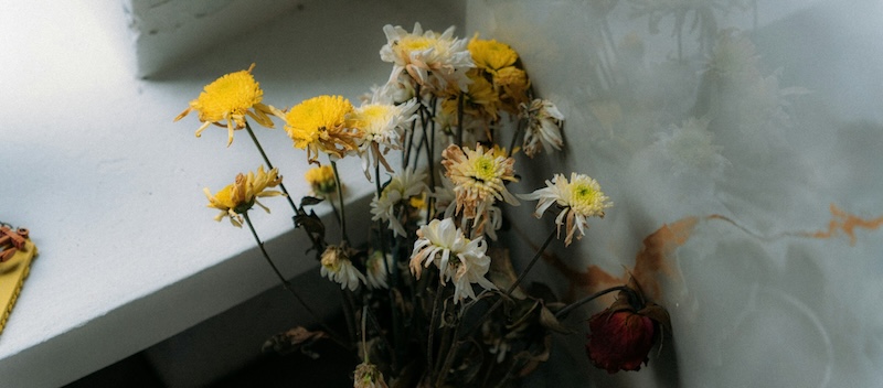 枯れた花