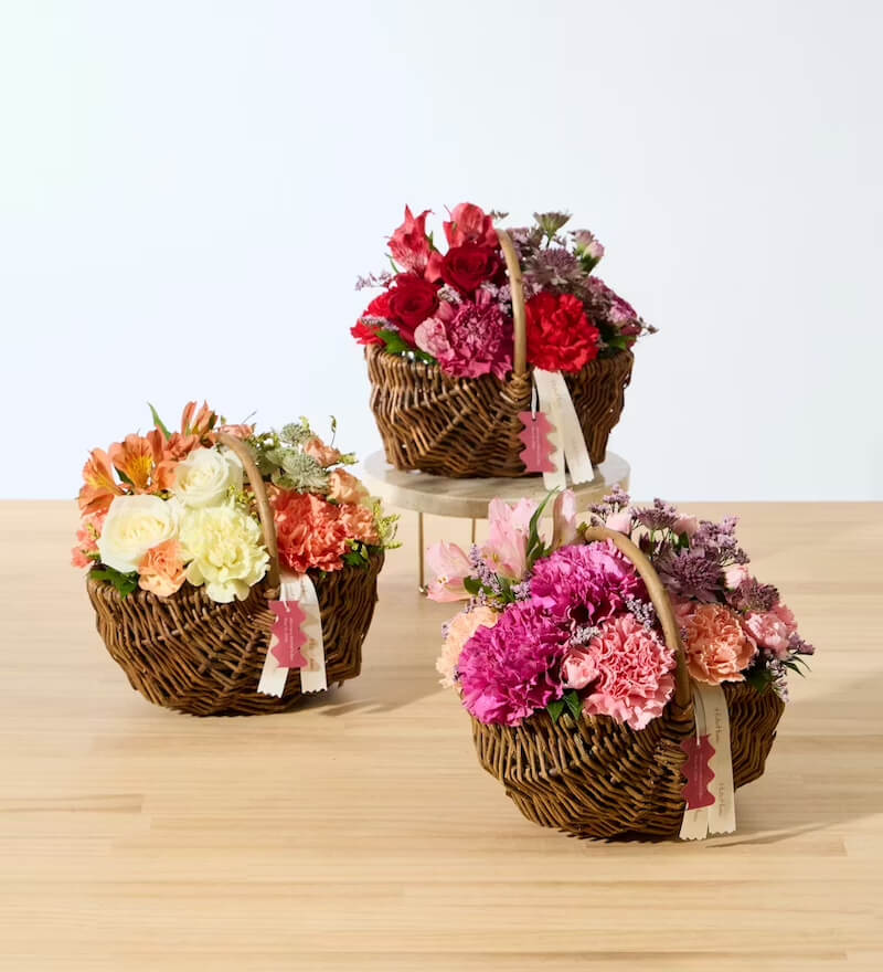 カーネーションのアレンジメント