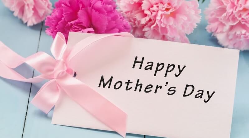 幸福の胡蝶蘭屋さん