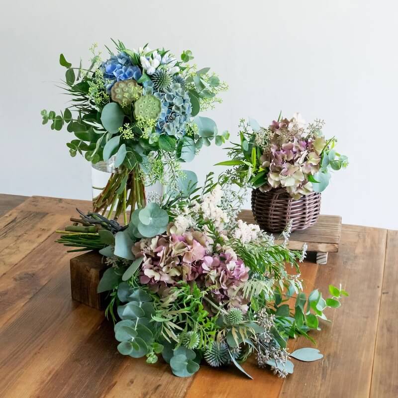 アジサイのギフト