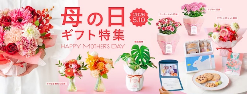 AND PLANTS（アンドプランツ）