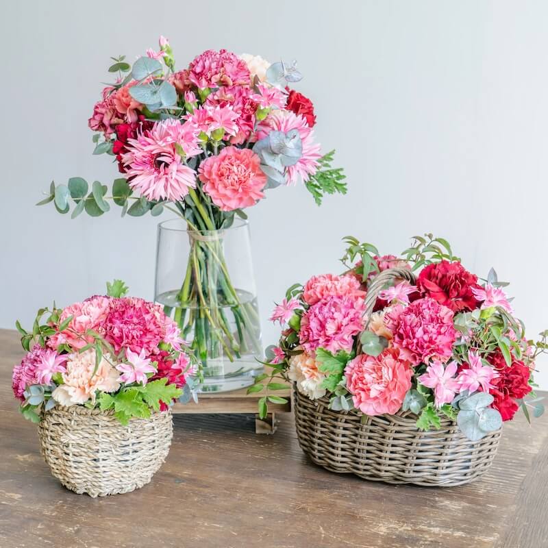 母の日 カーネーション